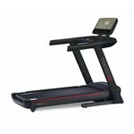 Matrix Loopband TF50 XER