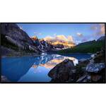 Dell P3225DE LED-monitor Energielabel E (A - G) 80 cm (31.5 inch) 2560 x 1440 Pixel 16:9 8 ms DisplayPort, HDMI IPS LED