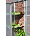 Royal Well | Muurkas WG 62 | Veiligheidsglas 3 mm | Groen