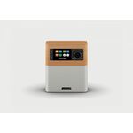 Bluesound Professional: B160S Netwerk Streaming Stereo Amplifier