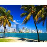 Stedentrip New York & Miami - Amerika