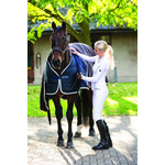 Horseware Amigo 3 In 1 Competition Sheet