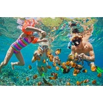Snorkelen rondom Menjangan Island