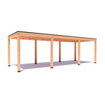 Overkapping Leo Basis douglas 1200 x 300 cm vrijstaand