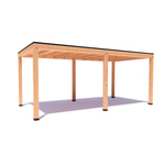 Overkapping Evin Basis douglas 400 x 300 cm vrijstaand