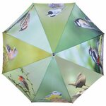 Deze Paraplu Is Voorzien Van Vogels Die Overwinteren In Europa; Merel,