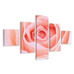 Schilderij - Pastelroze roos, 5luik, premium print