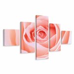 Schilderij - Pastelroze roos, 5luik, premium print