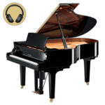 Wilhelm Schimmel W 206T MP messing vleugel