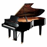 Oostendorp Digital Classic Semi Grand Elite IV PE messing