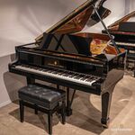 Yamaha NU1XA PE digitale piano