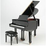 Oostendorp Digital Classic Baby Grand Deluxe V PWH chroom