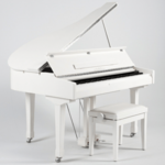 Oostendorp Digital Classic Mini Grand Elite IV PE messing