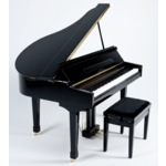 Oostendorp Digital Classic Mini Grand Elite IV PWH chroom