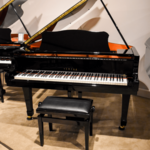 Wilhelm Schimmel W 206T WP messing vleugel