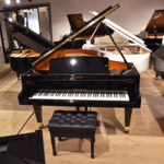 Wilhelm Schimmel W 206T SP messing vleugel