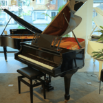 Schimmel Classic C189 T WP messing vleugel