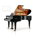 Schimmel Konzert K219 T SP messing vleugel