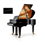Schimmel Konzert K195 T SP messing vleugel