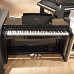Oostendorp Digital Classic Deluxe IV PE chroom