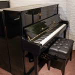Wilhelm Schimmel W 114T TwinTone ES messing silent piano