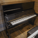 Wilhelm Schimmel W 123T TwinTone MP messing silent piano