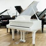 Sebastian Steinwald 121 PE zilver piano