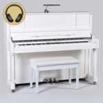 Sebastian Steinwald 121 (Korg KS-30) PWH zilver silent piano
