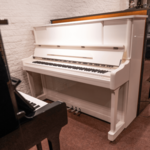 Sebastian Steinwald 121 (Korg KS-30) PE zilver silent piano
