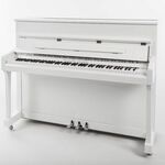 Sebastian Steinwald 110 (hele klep) PE zilver piano
