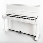 Sebastian Steinwald 110 (hele klep) PE messing piano