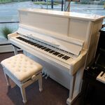 Sebastian Steinwald 110 (hele klep) PE zilver piano