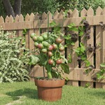 Plantenstok kokos 120 x 42 x 42 cm