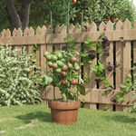 VidaXL Plantensteunen 5 st met 3 ringen 60 cm staal groen