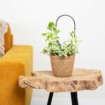 HEMA Planten Clips - 30 Stuks