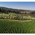 Torre a Cona Wine Estate - Appartementen
