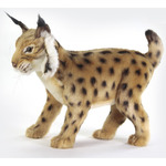 Pluche lynx knuffel 35 cm