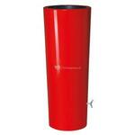 Barrica regenton darkwood 260 liter