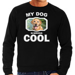 Honden liefhebber trui / sweater Golden retriever my dog is serious cool zwart voor dames