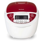 LINGRUI Multi-functie elektrische lunchbox elektrische verwarming isolatie koken mini rijstkoker CN Plug Specificatie: Dubbele laag (Paars)