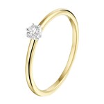 TFT Ring Diamant 0.015ct H SI Bicolor Goud