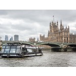 Stadstour Hop-On Hop-Off Bustour door Berlijn en riviercruise