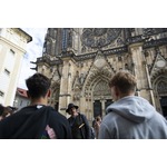 Het beste van Praag te voet en met de bus, met riviercruise en de Praagse burcht
