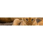 Rondreizen Tanzania 18-32 jaar