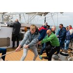 Dagtocht zeilen vanuit Rotterdam