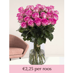 Roze rozen - Kies je aantal (Revival) - 10 t/m 99 rozen