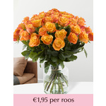 10 roze rozen met gipskruid (XXL rozen)