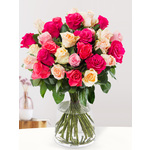 15 Roze rozen