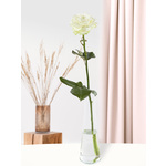 Rozenmix van 30 roze rozen