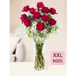 15 rode rozen met gipskruid (XXL rozen)